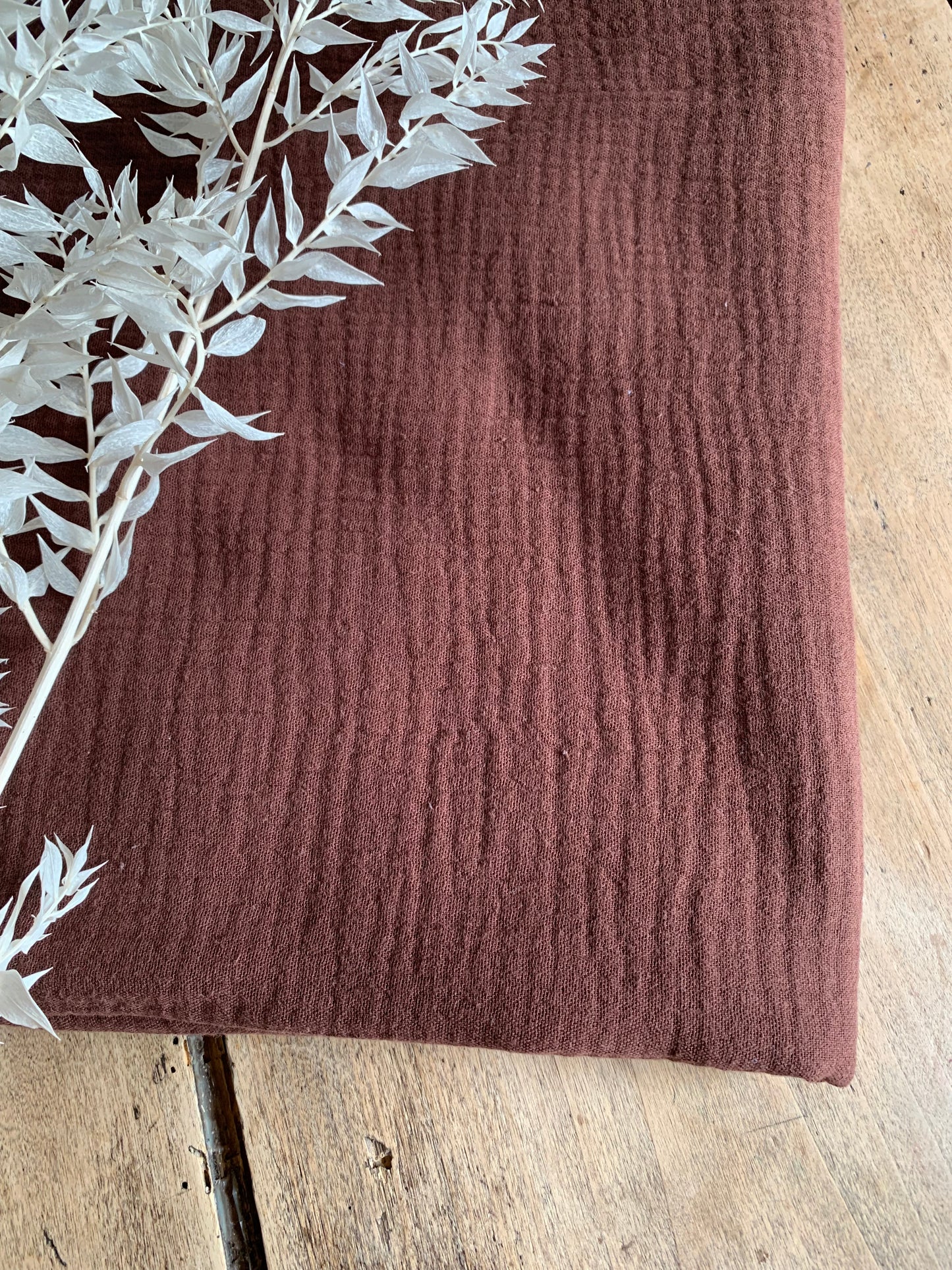 Double Gaze Cacao
