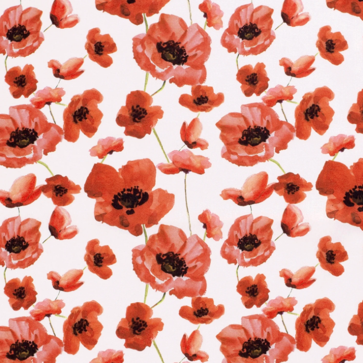 Popeline de Coton Coquelicots