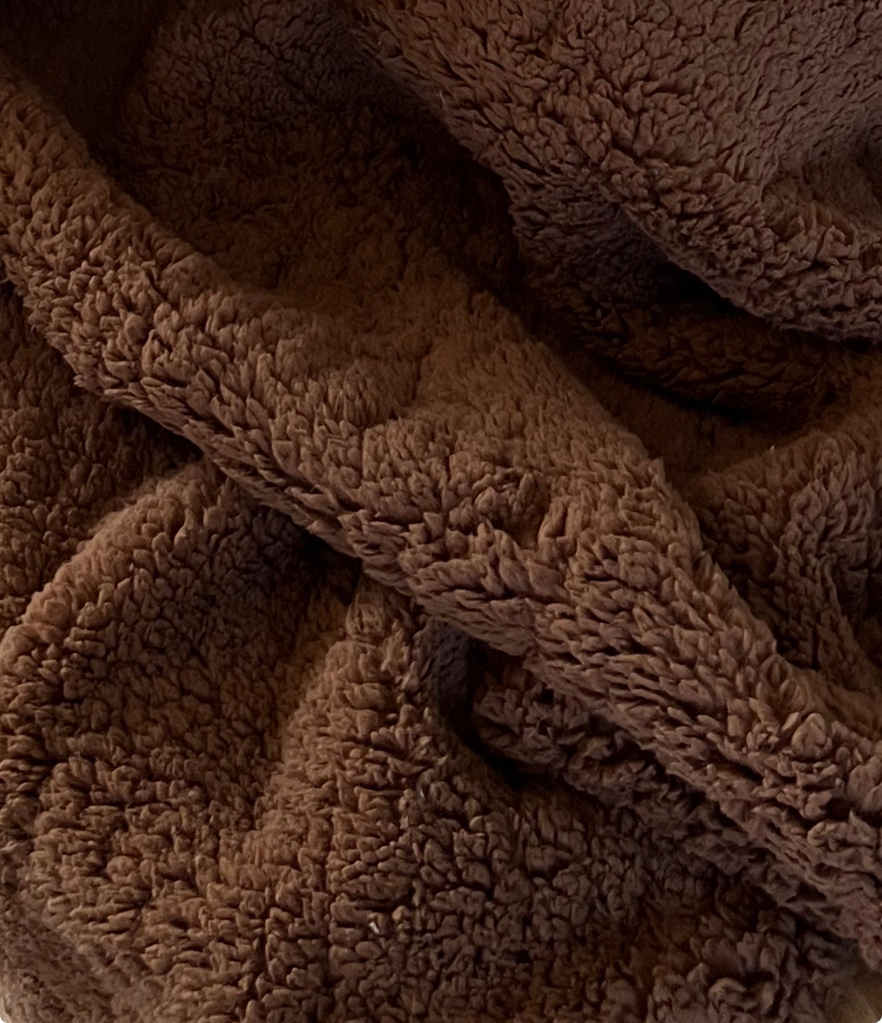 Sherpa Teddy Brun