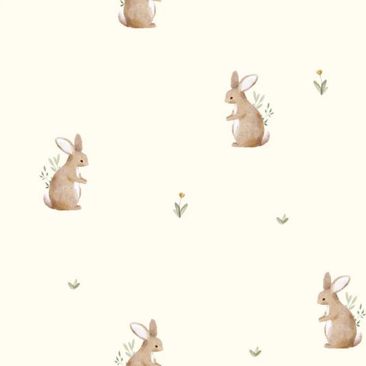 Double gaze Lapin